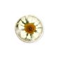 Preview: MY iMenso Flora Insignia Miniatur Blumen 14-1176