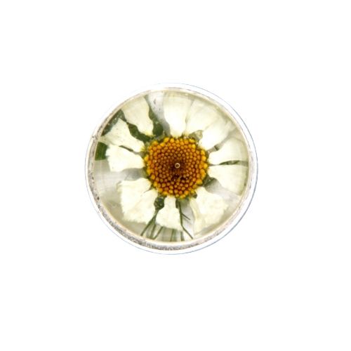 MY iMenso Flora Insignia Miniatur Blumen 14-1176