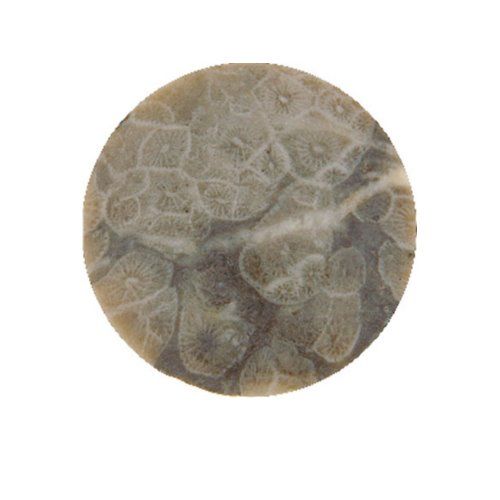 My iMenso Natural Stones Insignia fossil coral gewölbt 24-0107